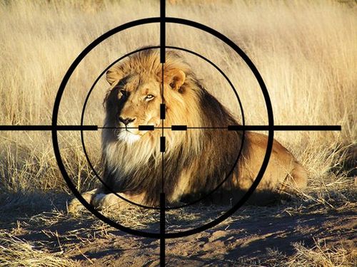 leoni ucciderli salvarli tanzania