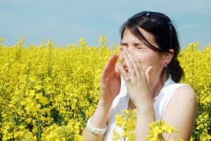 Allergie di primavera, bollettino pollinico Graminacee