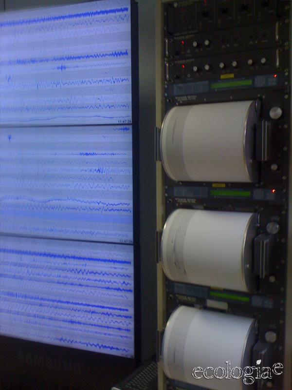 monitoraggio terremoti tempo reale