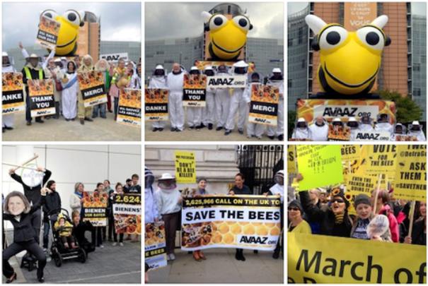 Ecologia, dalla Gran Bretagna una legge contro i pestici per salvare le api