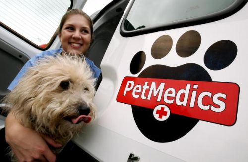 animali città legambiente comuni pet friendly