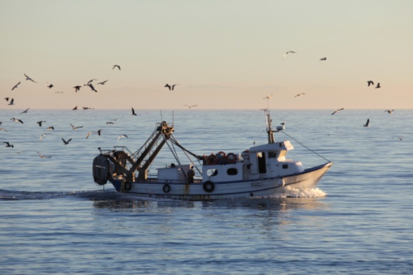 Ecologia, a Trieste i pescherecci vanno a olio fritto