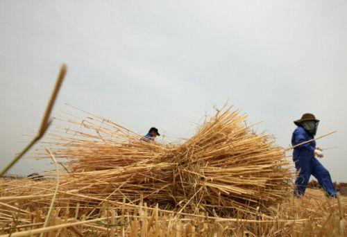 alimentazione agricoltura popolazione mondiale