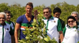 cristiano ronaldo ambientalista ambasciatore mangrovie bali