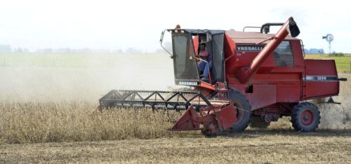Agricoltura, nuovo regolamento europeo favorisce gli Ogm