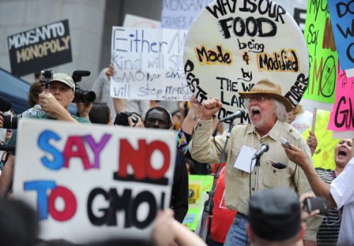 OGM, la Monsanto rinuncia all'Europa