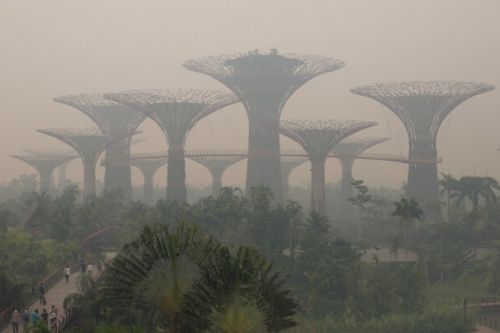 incendio forestale singapore livelli record