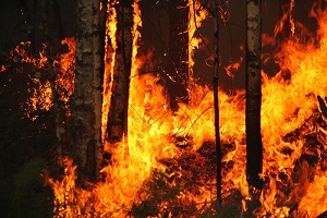 Incendio in California, ancora fiamme nel parco Yosemite, nuove evacuazioni