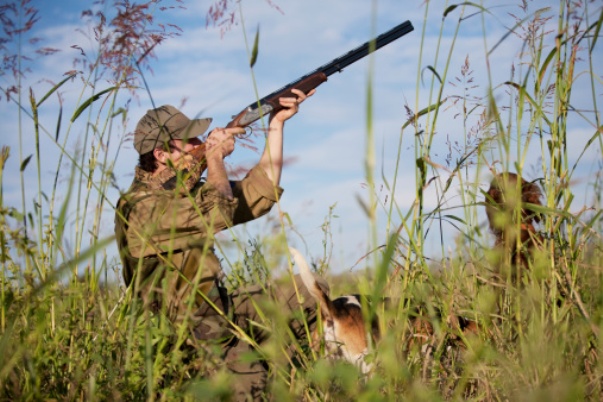 Ambiente, riapre la caccia e le associazioni insorgono