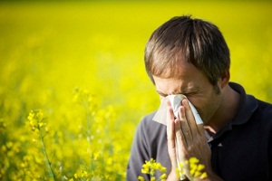 allergie bollettino pollinico settimana marzo