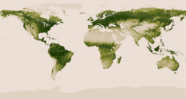 mappa foreste NASA - il verde nel mondo