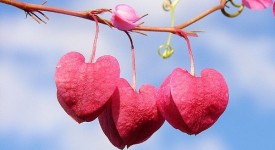 5 idee regalo per San Valentino