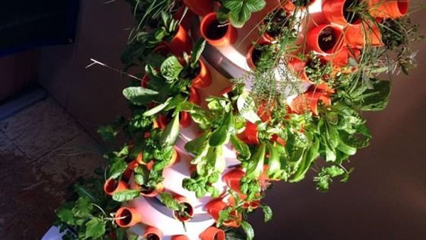 Veve, presentato il prototipo del primo orto verticale da coltivare in casa