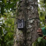 Telecamera nella foresta amazzonica