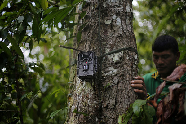 Telecamera nella foresta amazzonica