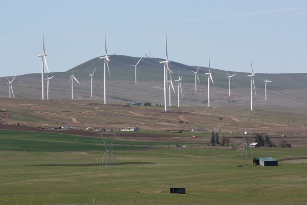 Fonti rinnovabili, la Danimarca vola grazie all'eolico