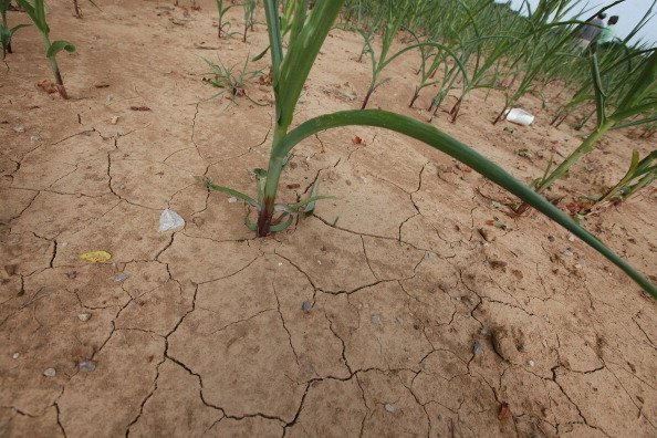 Allarme siccità Nord Sardegna