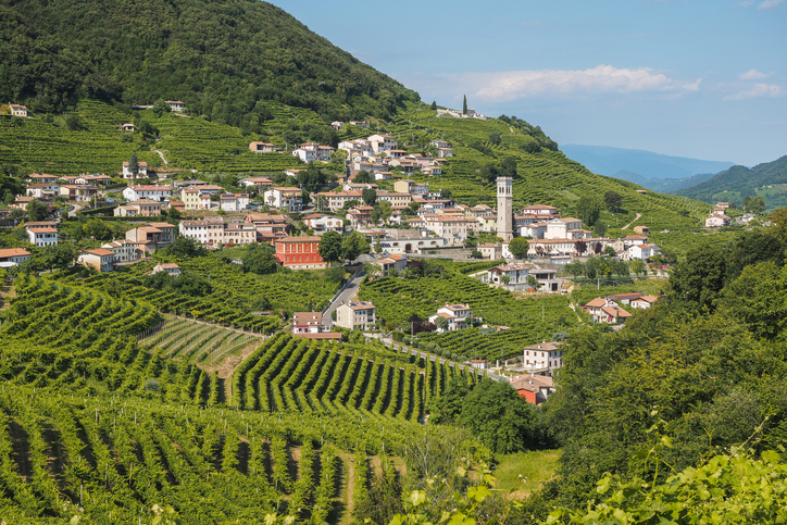 Paesaggio del Prosecco candidato dall'Italia a Patrimonio dell'Unesco