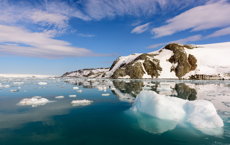 Antartide più verde a causa dei cambiamenti climatici