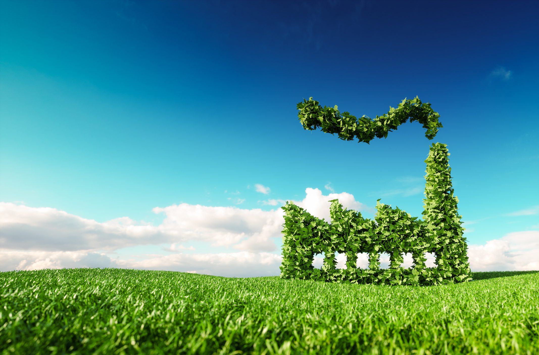 Quattro consigli pratici su come rendere il tuo business più ecologico nel 2022