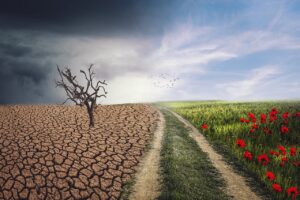 cambiamento climatico