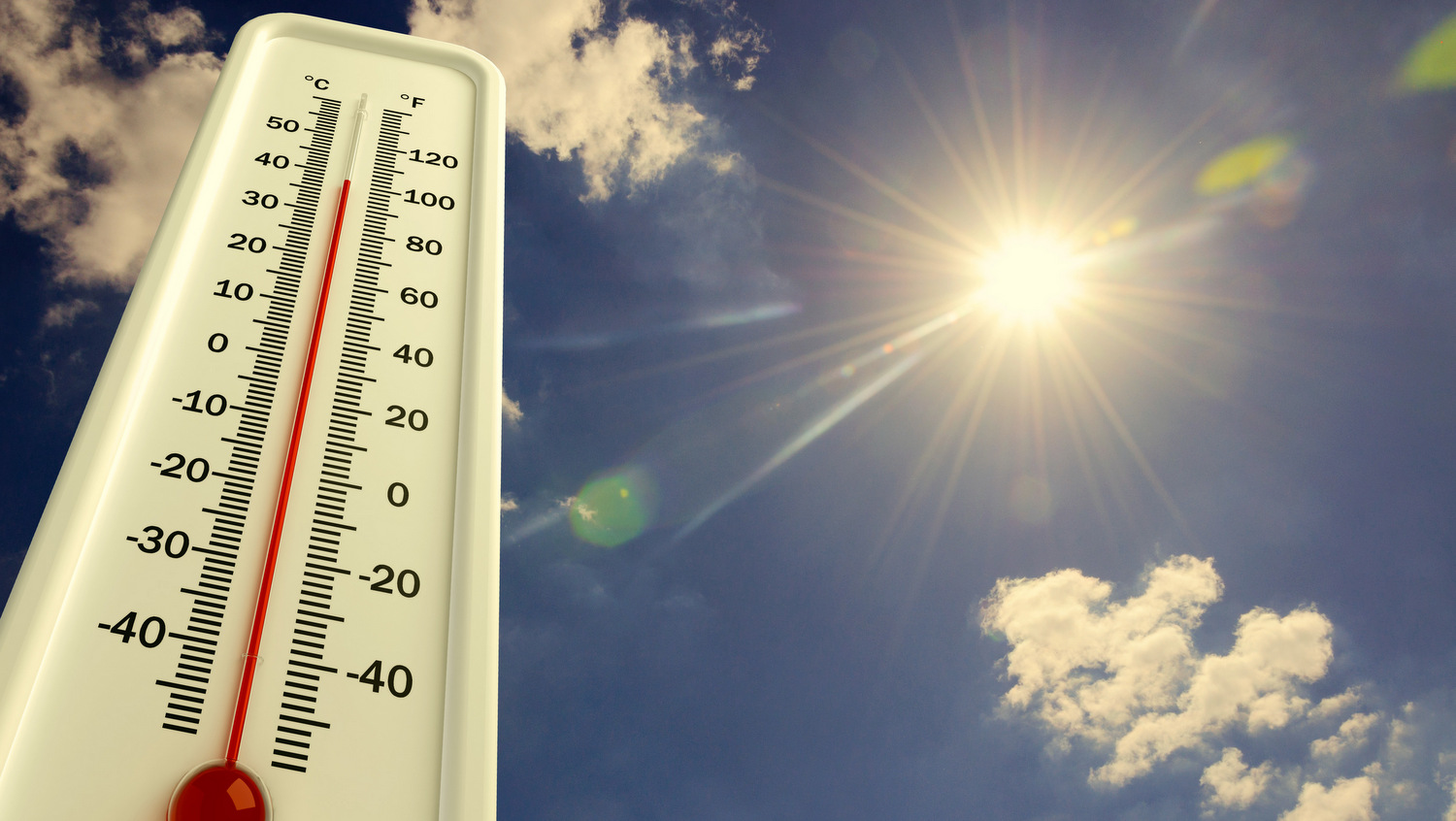 ondata di calore