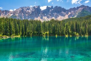 biodiversità sulle Dolomiti