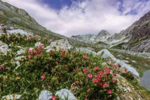 aumento delle temperature globali